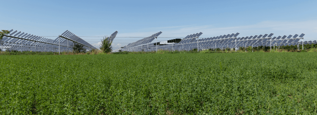 L’accélération de l’agrivoltaïsme divise le monde agricole