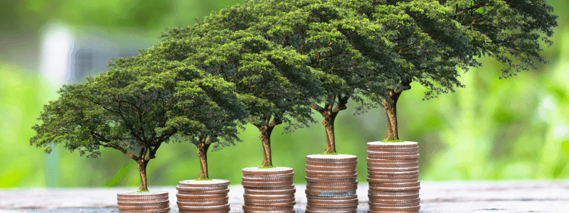 La finance durable : moteur de la transition énergétique